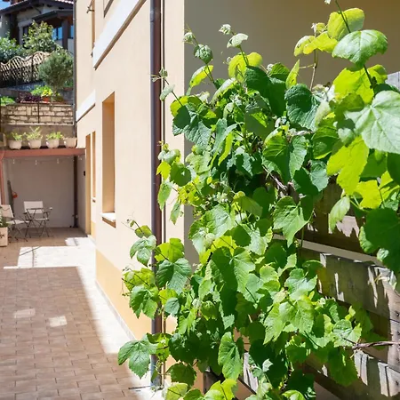 Il Cirro Sul Conero Bed & Breakfast